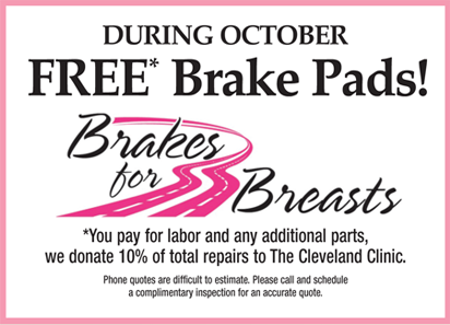 Brakes for breasts 
